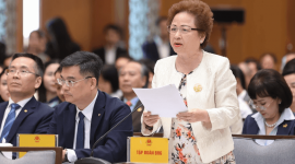 Madame Nguyễn Thị Nga - Quyền Chủ tịch Hội Doanh nhân Tư nhân Việt Nam, Chủ tịch Tập đoàn BRG kiến nghị khơi thông nguồn lực, thúc đẩy tăng trưởng tại Hội nghị Thường trực Chính phủ với cộng đồng doanh nghiệp