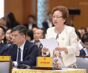 Madame Nguyễn Thị Nga - Quyền Chủ tịch Hội Doanh nhân Tư nhân Việt Nam, Chủ tịch Tập đoàn BRG kiến nghị khơi thông nguồn lực, thúc đẩy tăng trưởng tại Hội nghị Thường trực Chính phủ với cộng đồng doanh nghiệp