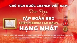 BRG Group Honoured with the First-Class Labor Order