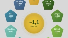 BRG Group’s 1.1 Million Tree Journey Toward Strategic Afforestation as a Core Pillar of Net Zero Commitment