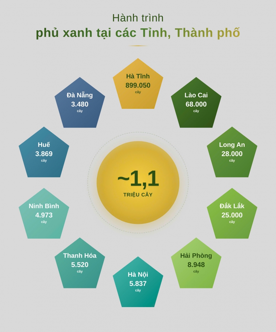 Tập đoàn BRG: trồng gần 1,1 triệu cây phủ xanh trên toàn quốc